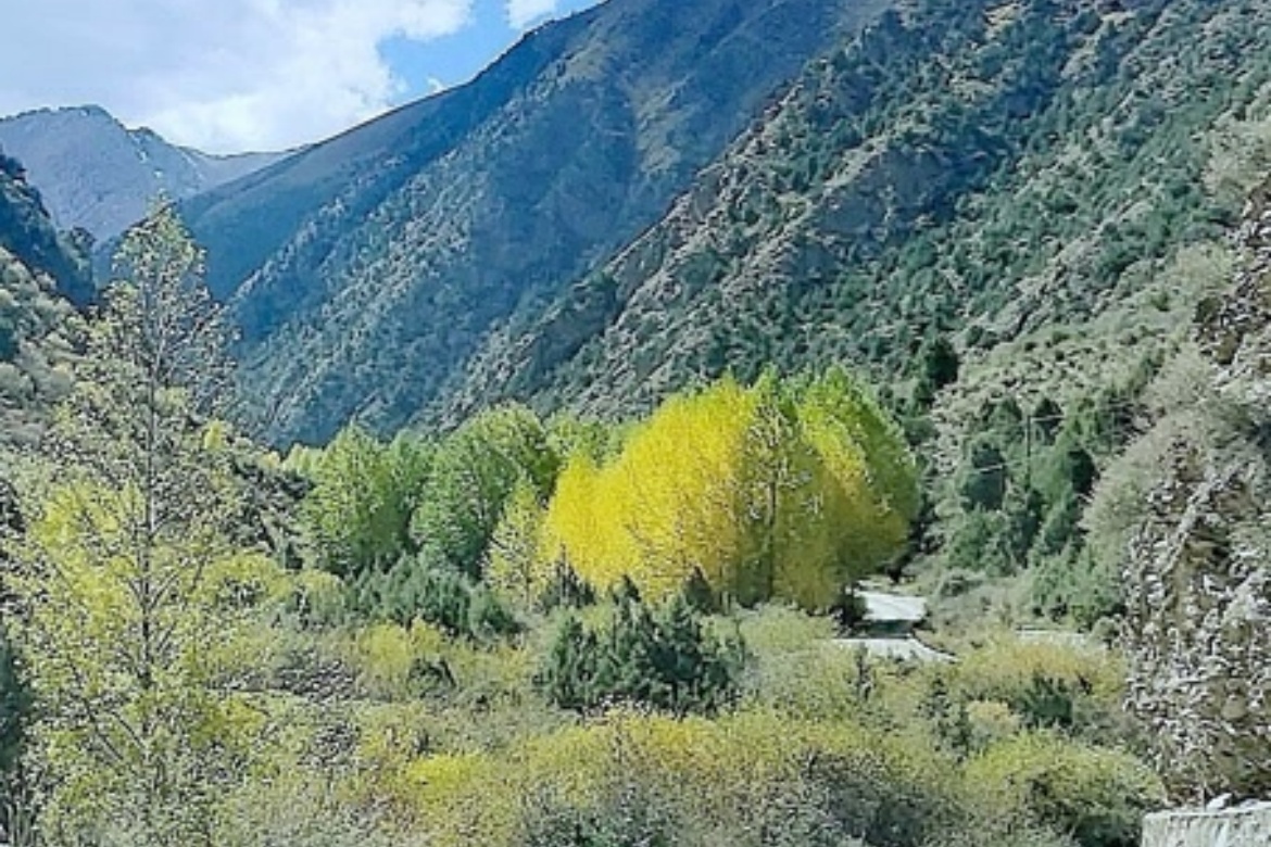 Leba Gorge
